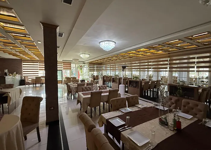 Fantazia 4*