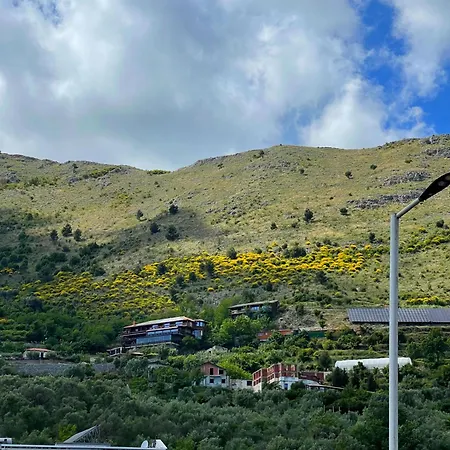 Fantazia Bahçallëk